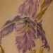 Tattoos - Brush Paint Iris - 37998